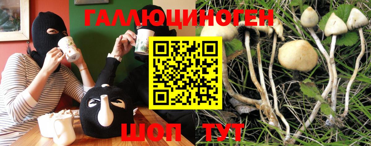 Галлюциногенные грибы Magic Shrooms  Вход с VPN  Губаха 